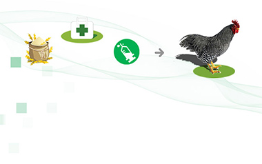 沅力雞場(chǎng)物聯(lián)網(wǎng)養(yǎng)殖