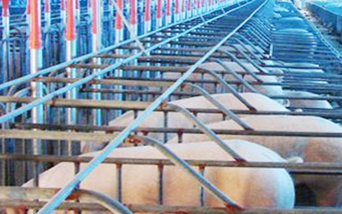 沅力UNET養(yǎng)豬場(chǎng)監(jiān)控管理系統(tǒng)